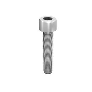 Sc Sc M8x55 (ser)